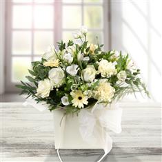 Lemon &amp; White Love
