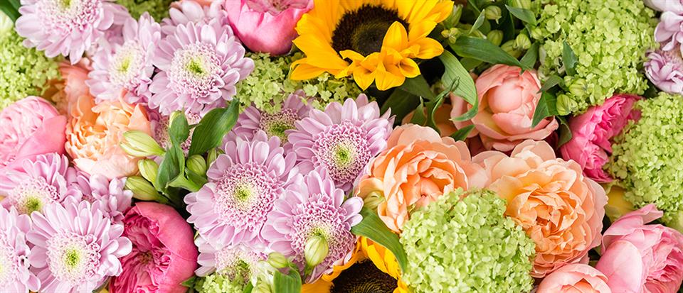 Shelly's Florist Ltd