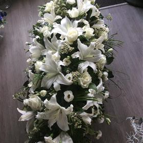 fwthumbA34FA25C-6B6A-4B45-9D18-9C3323587F9B.jpg