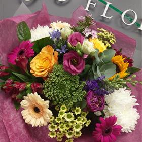 fwthumbIMAG60221.jpg