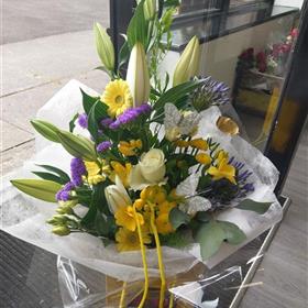 fwthumbIMAG62251.jpg